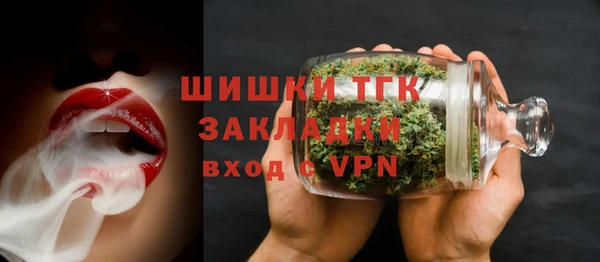 прущие грибы Заволжск
