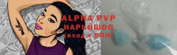 стаф Елабуга
