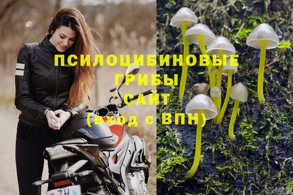 стаф Елабуга