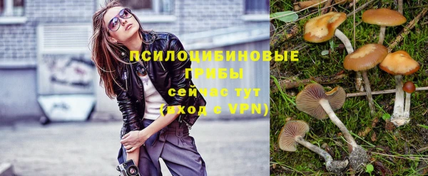 мдма Ельня