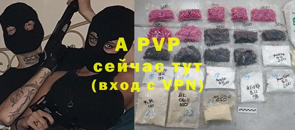 прущие грибы Заволжск