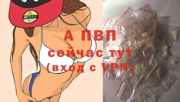 стаф Елабуга