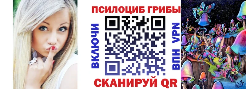 Купить где  Кизилюрт  Псилоцибиновые грибы Psilocybe 